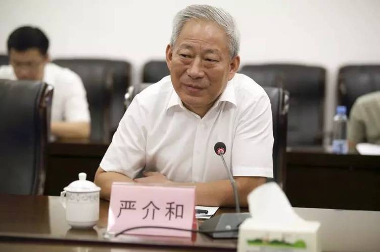 江苏首富严介和：坐拥3000个工业园，年入6738亿，他是如何做到的