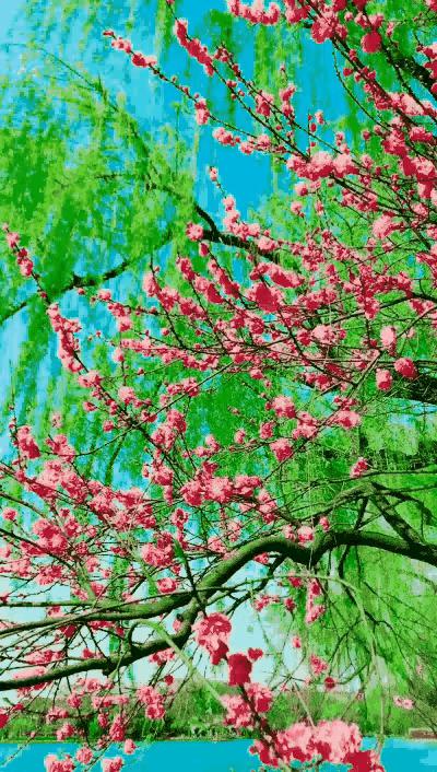 2023年03月03日星期五农历：癸卯年【兔年】二月十二八九第9天