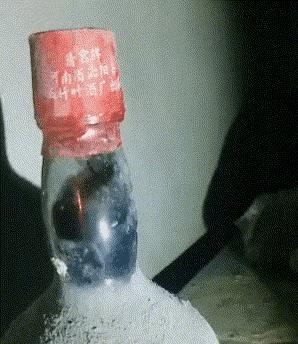 “老鼠贴粘到的，吃了不会犯法吧？”网友：争取死缓吧！哈哈哈