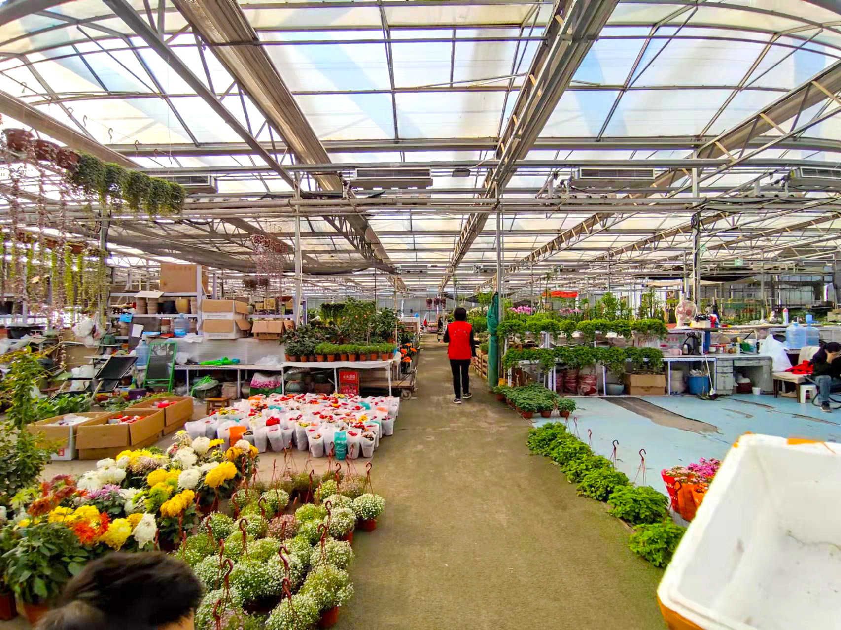 北京宝藏赏花小公园,北京宝藏海洋花市