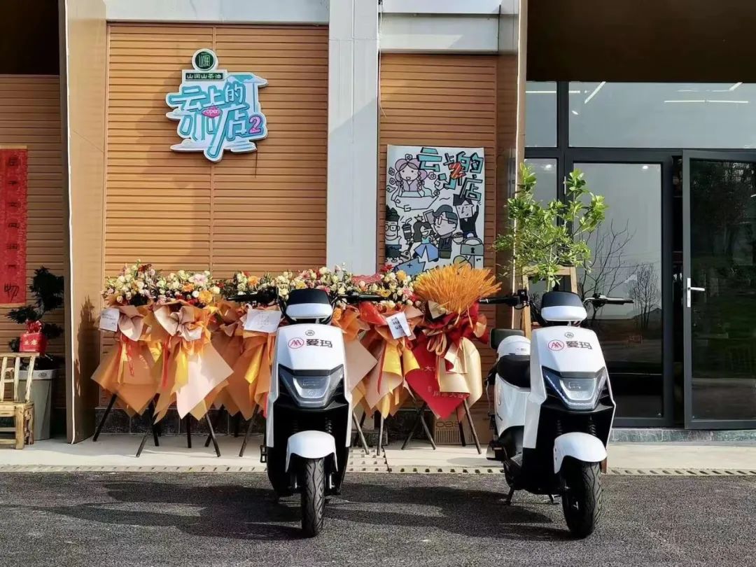 爱玛电动车2023新款夏天,目前最好的爱玛电动车是什么型号