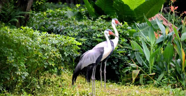 广州长隆酒店童趣乐园,广州游玩长隆性价比超高的酒店