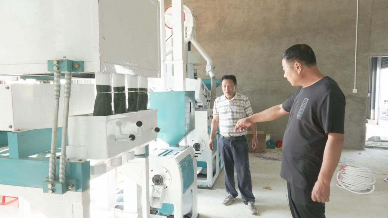 建设稻米生产加工基地,湖北稻米产业链基地有哪些