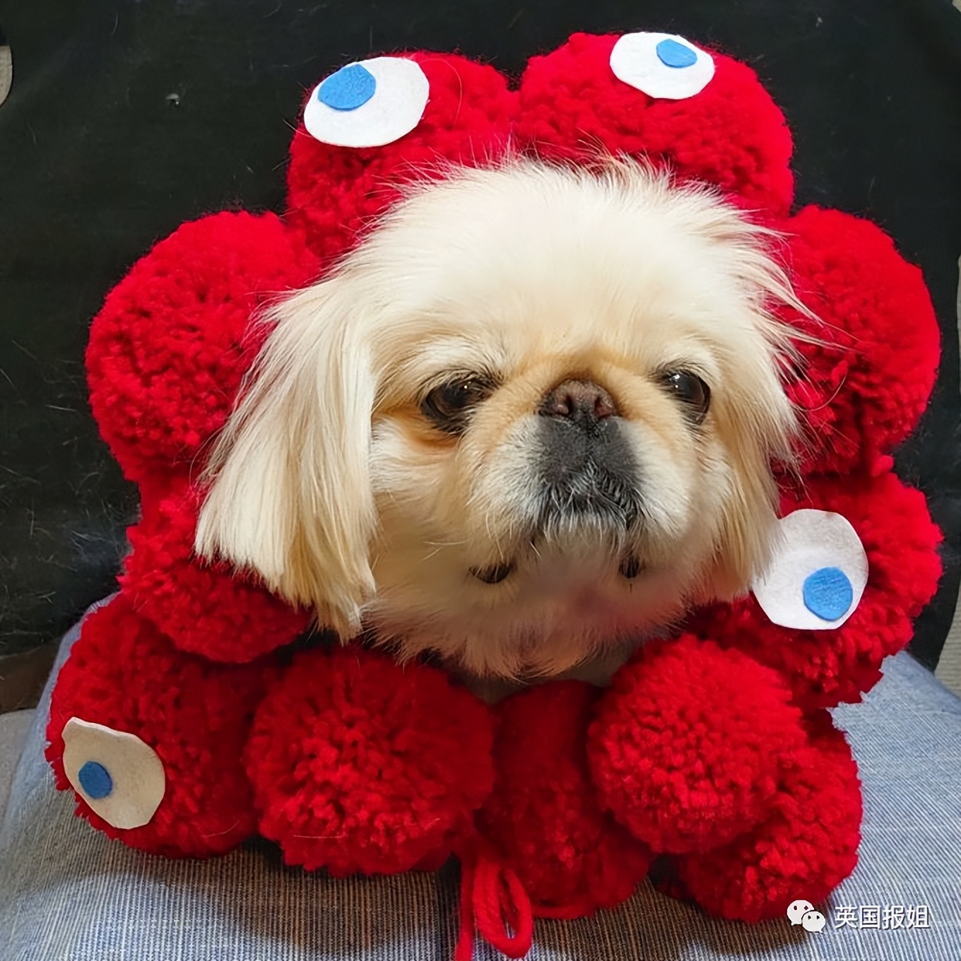 日本世博会吉祥物事件,大阪世博会吉祥物日本新闻