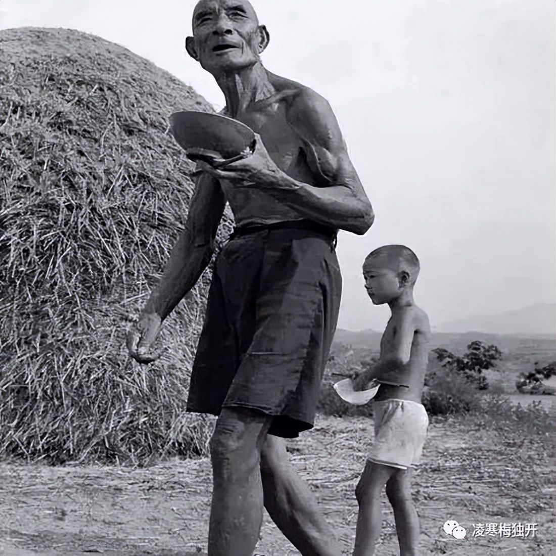我的奇趣岁月——小学