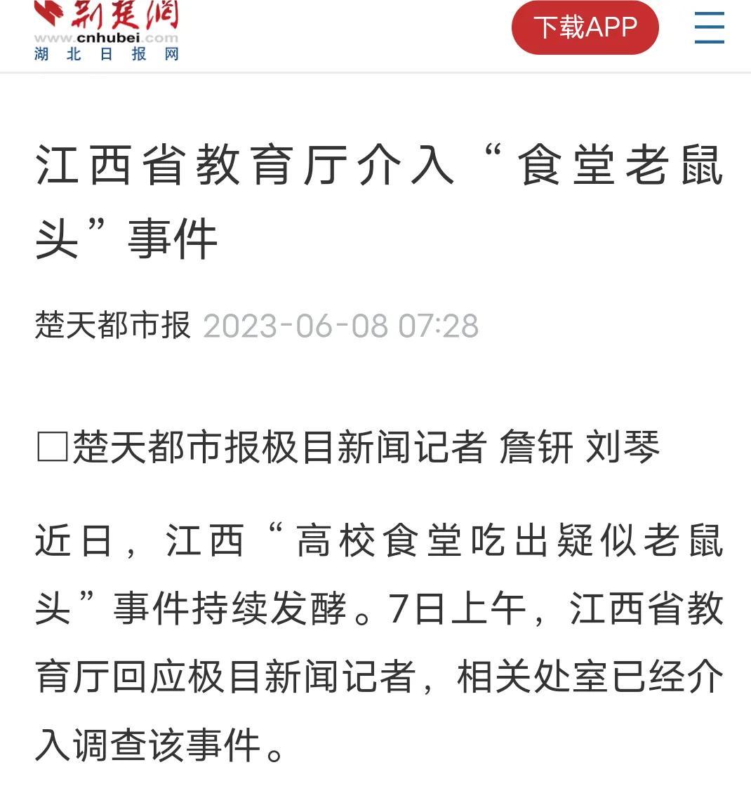 闹大了！“老鼠头事件”，教育厅出马，会不会有人已经瑟瑟发抖？