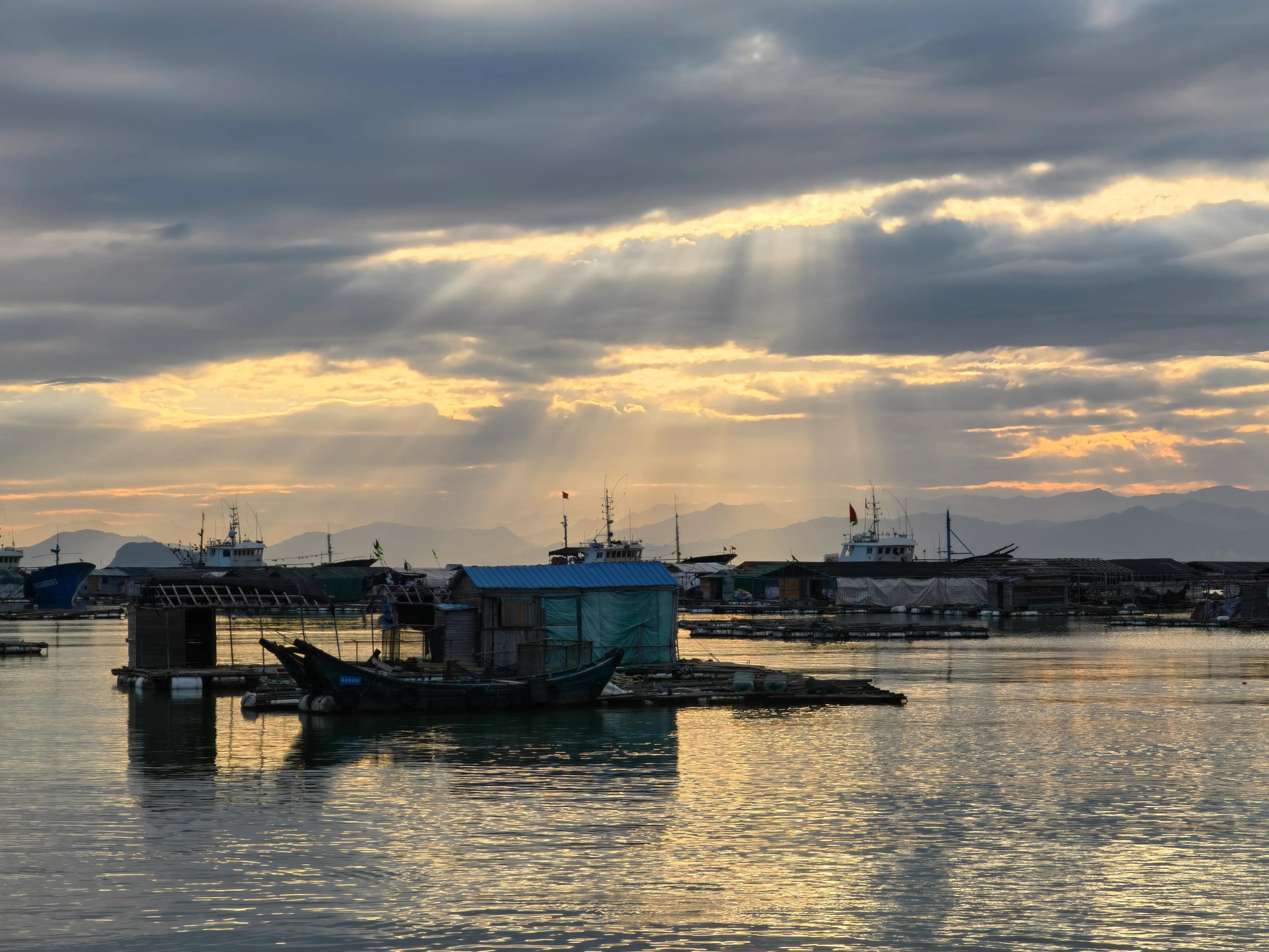 手拍世界近期作品,手拍世界完整版视频