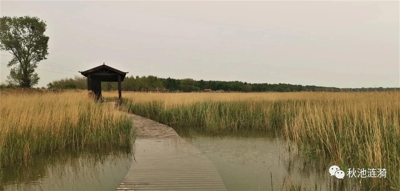 绉嬫睜娑熸吉,鏋舵爲鍙版箹鍥藉婀垮湴鍏洯