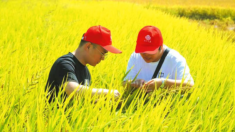 气象局省级文明单位创建总结,气象局文明创建典型案例