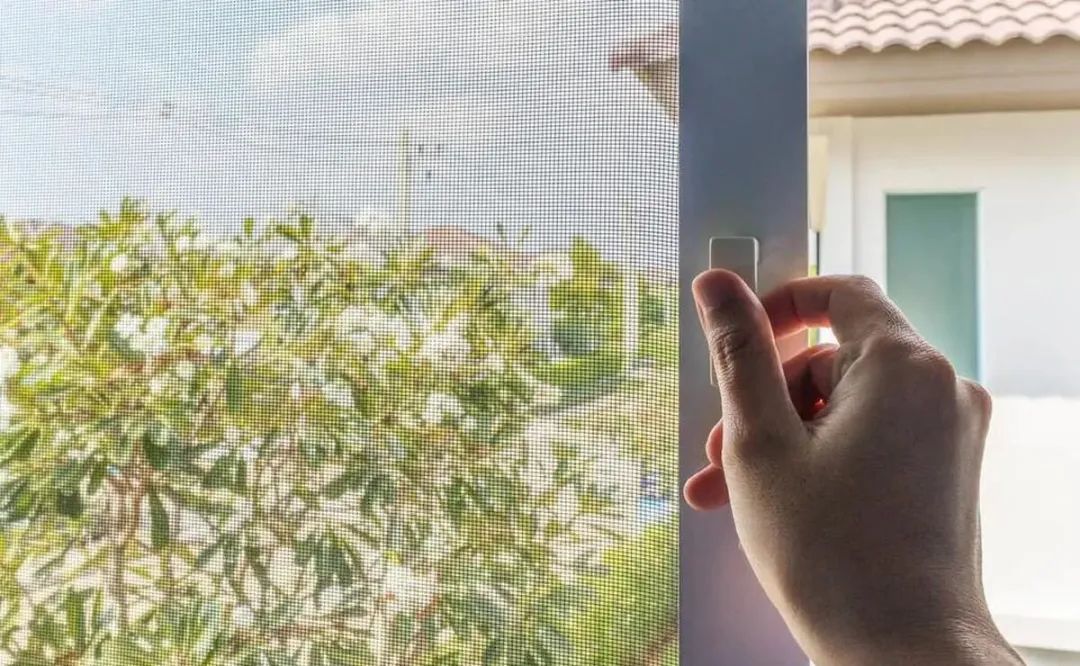 蚊子最怕的不是蚊香而是它,蚊子最大的天敌不是蚊香教你一招