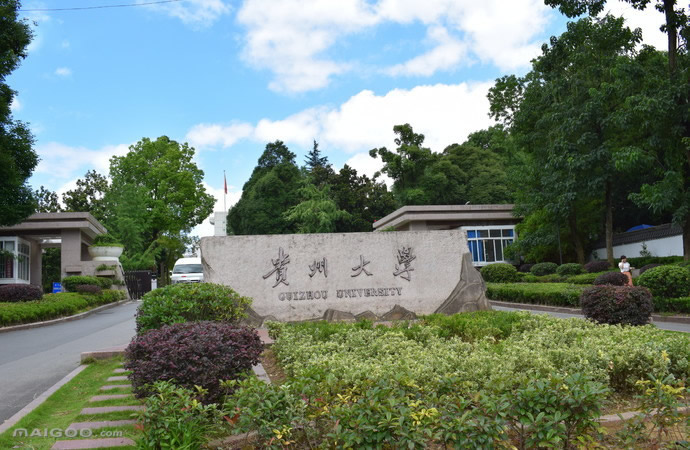 每天了解一个专业软件工程,酿酒专业涉及的课程与知识