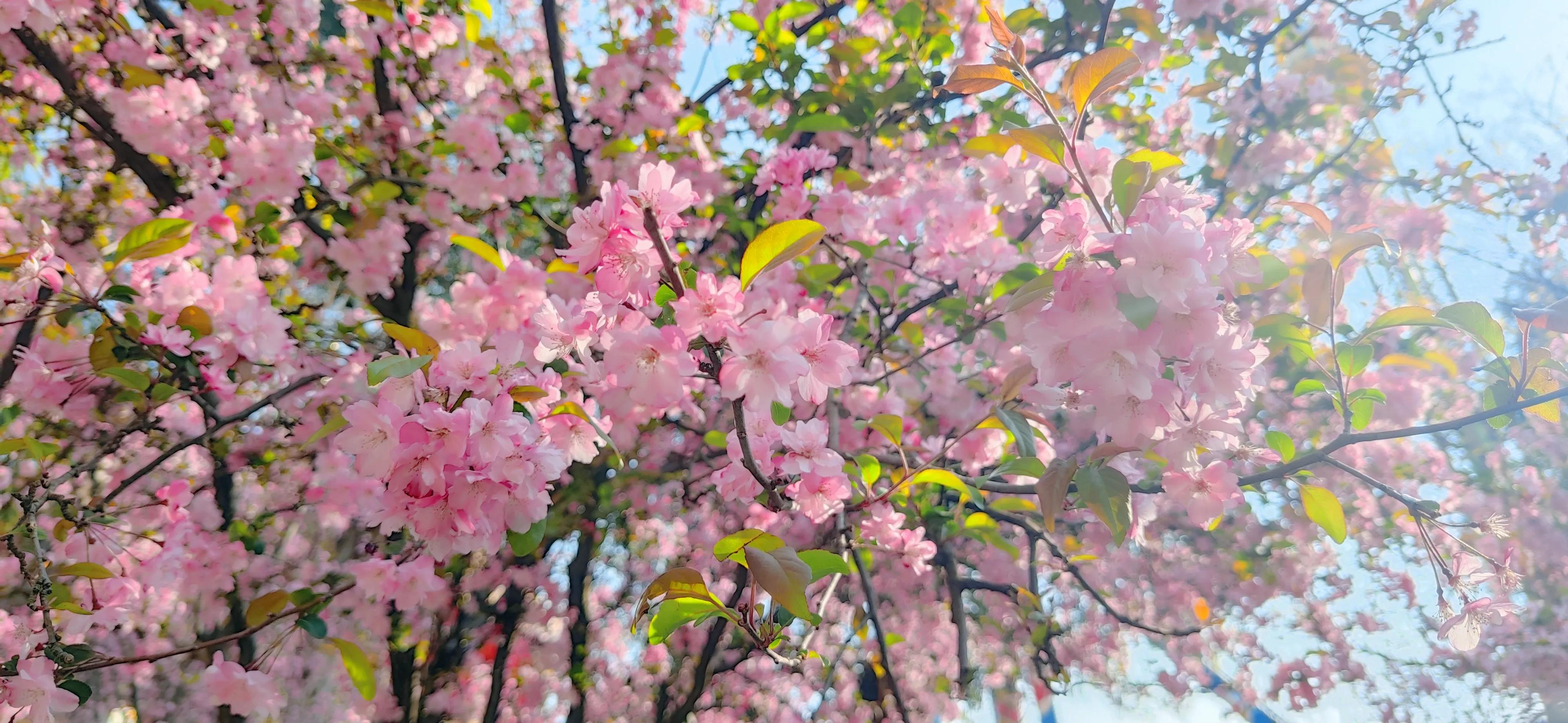 昆明周边一日游旅游景点,昆明旅游必去七大景点推荐
