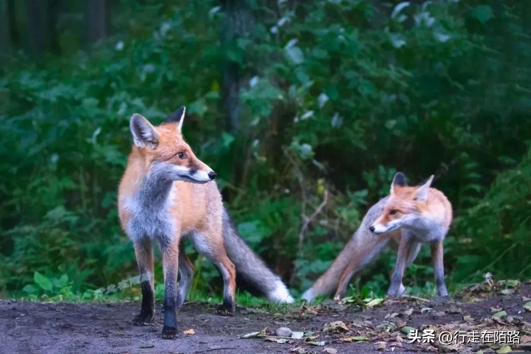 不被欧洲承认的欧洲城市：与俄罗斯有关的景点，全都无人问津