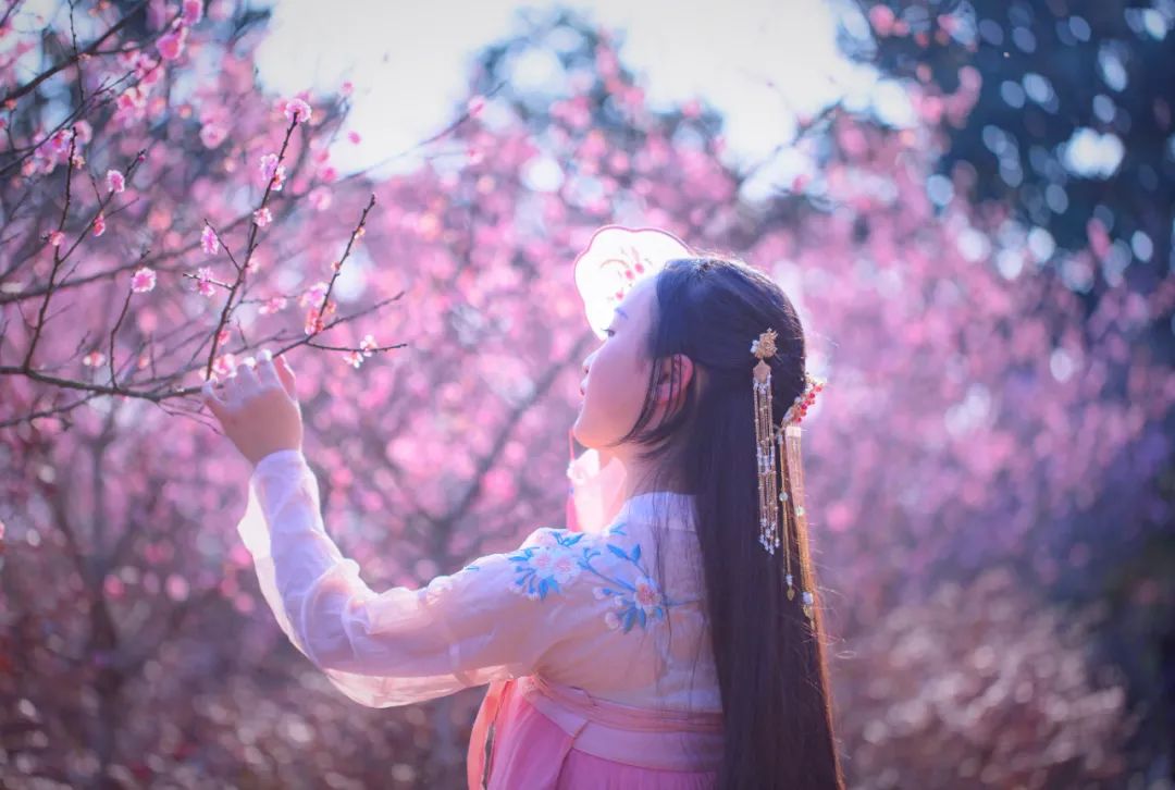 经典桃花古诗词名句大全,桃花的诗句桃之夭夭灼灼其华