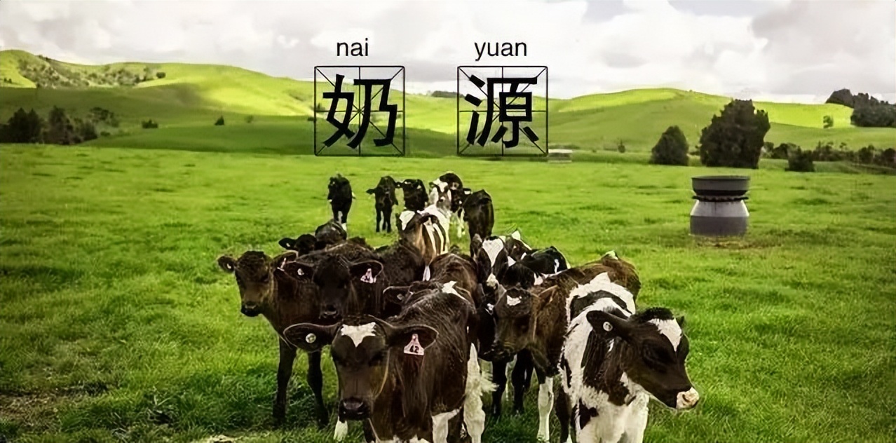 澳洲爱他美白金哪一段更有营养,澳洲爱他美白金和金领冠