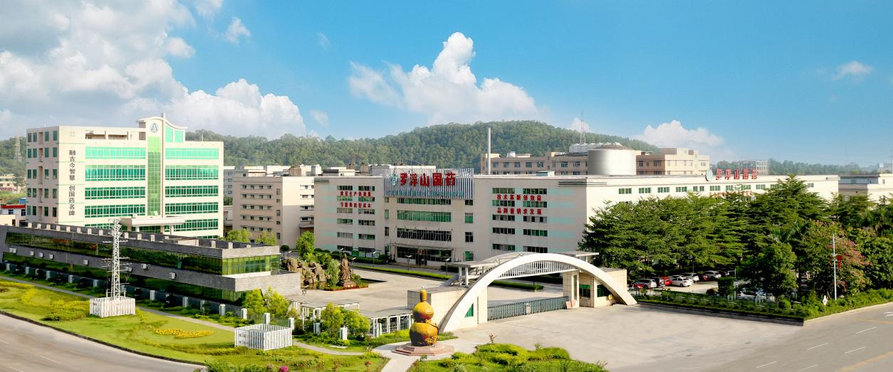 【聚焦第八届中医科学大会】罗浮山国药：传承创新中医药文化擦亮博罗“南药”品牌