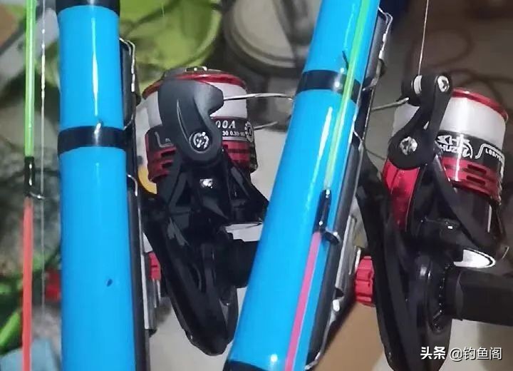 钓汪刺打窝技巧,冬季钓汪刺打窝技巧