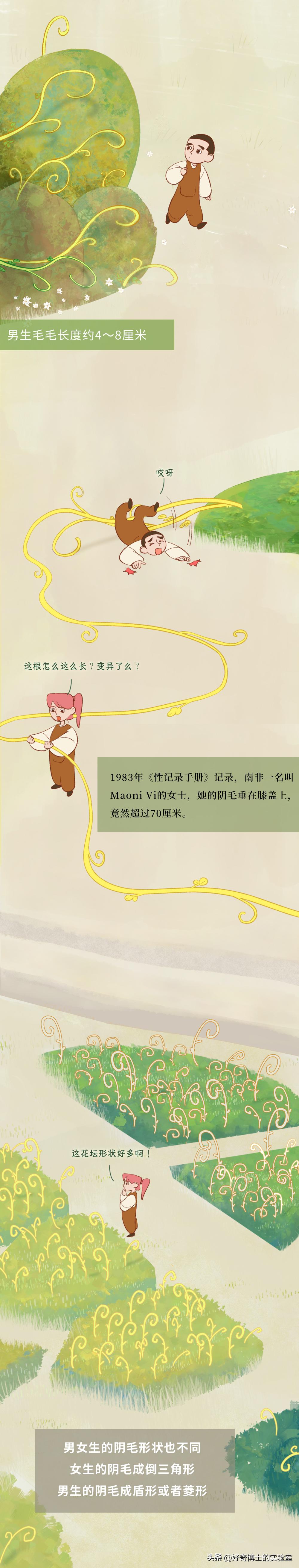 为什么头发浓密眉毛却很稀少,为什么头发是直的体毛是卷的