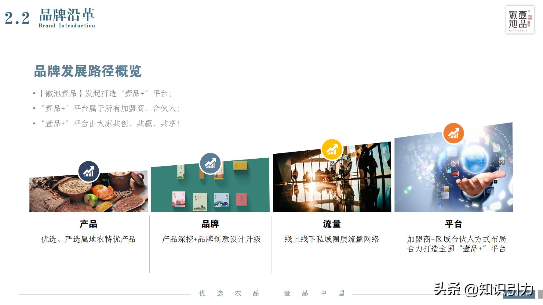 加盟招商运营成功案例,招商加盟案例库