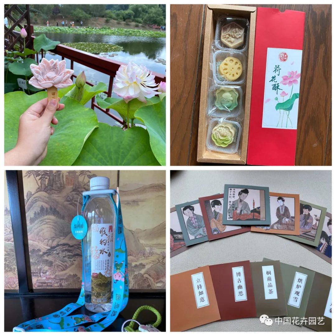 2022年全国荷花展,第三十六届全国荷花展预热