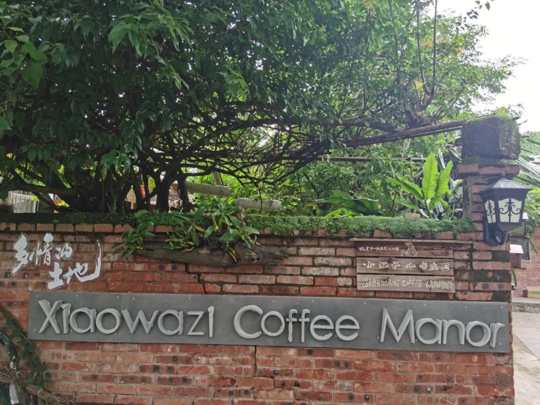 【直播预告】云咖何以香飘世界？来，一起解锁它的“出圈”密码！