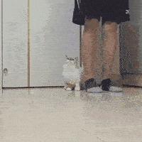 发烧真的会烧坏脑子，笑死我了哈哈哈哈哈哈哈