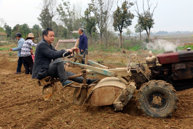 我，40多岁创业，从湖南到广东湛江种植火龙果，如今年收入30多万
