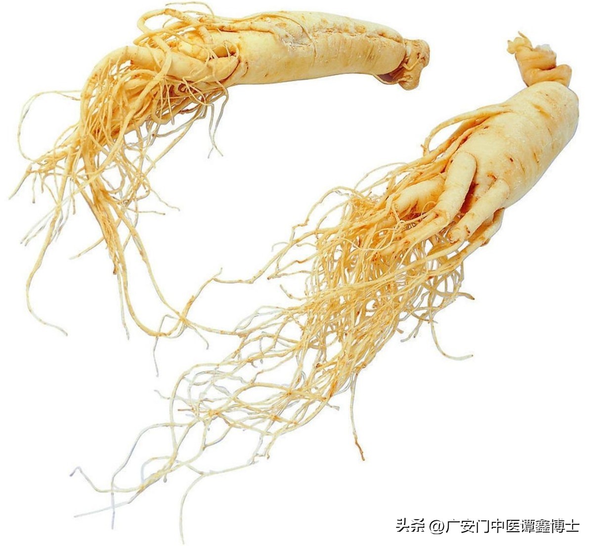 乳腺癌胃肺癌防转移方-消瘤平合汤