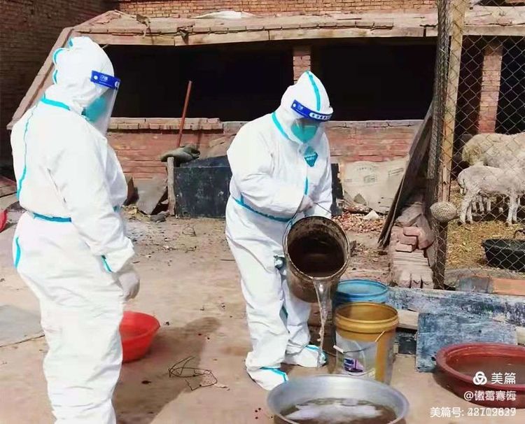 写给学前班孩子的一封信,新年写给青春期孩子的一封信