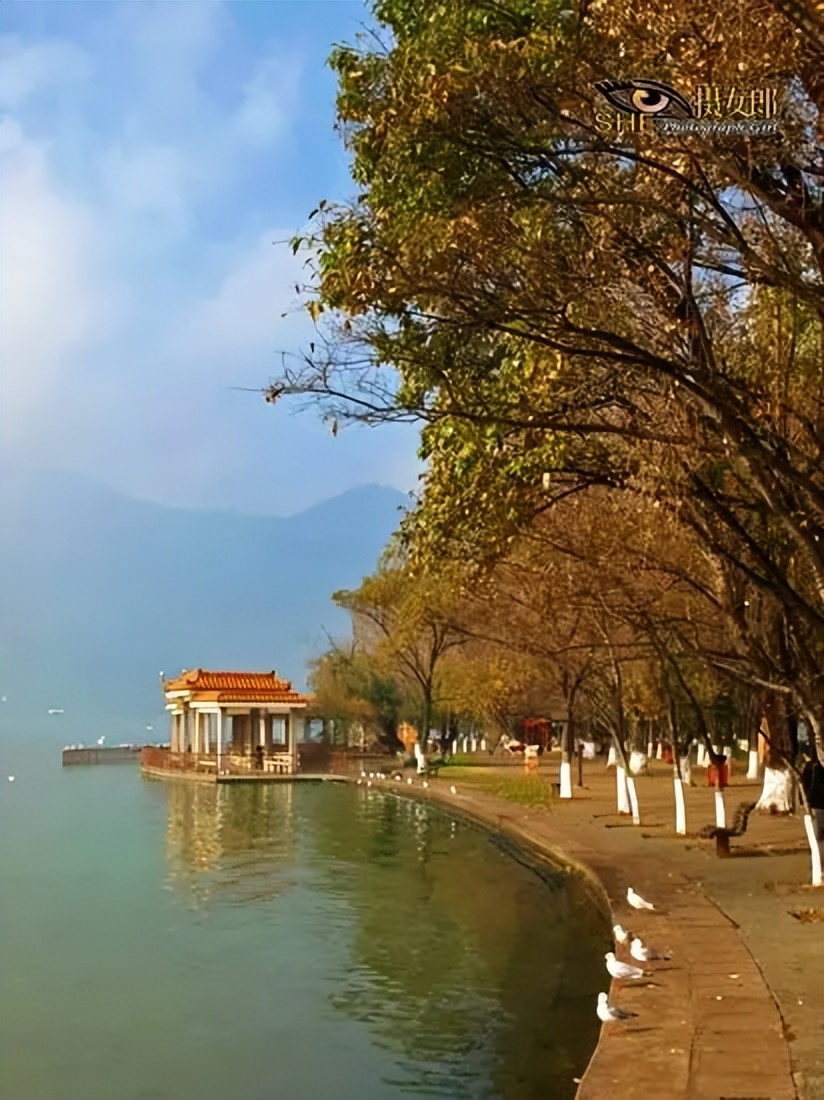 云南昆明旅游攻略自由行攻略,云南旅游自由行攻略昆明大理丽江