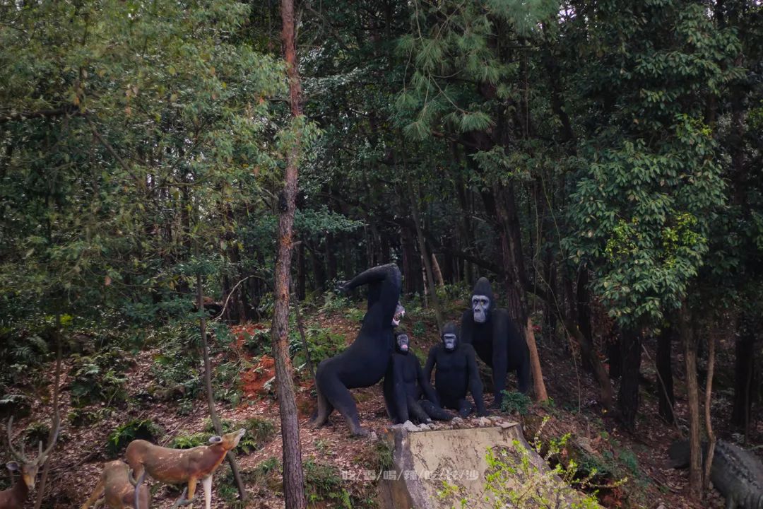 长沙攻略避开人群,收藏长沙