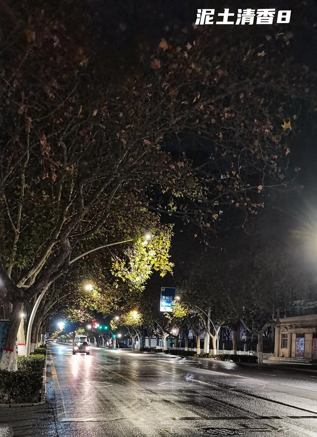 郑州风景优美的夜景,郑州初冬的风景