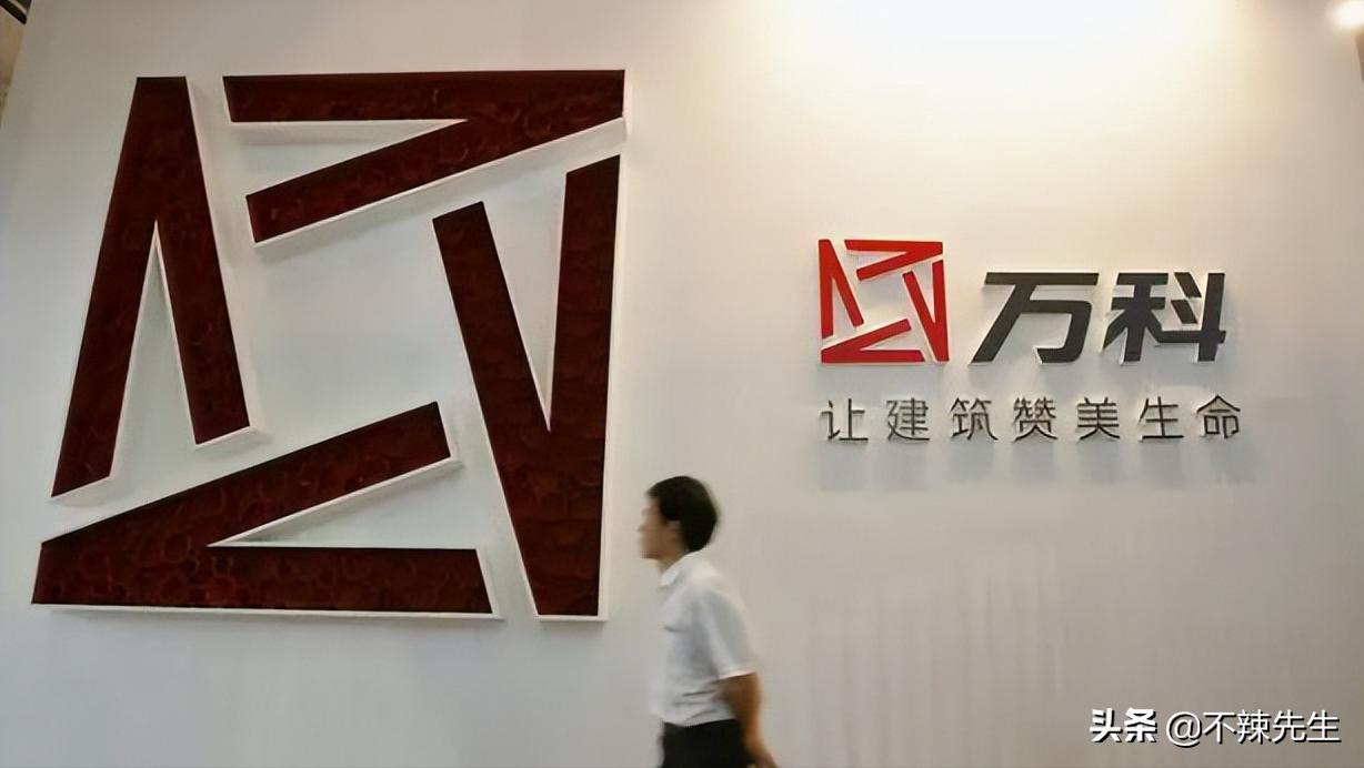 中国房地产业龙头万科集团,中国房地产百强企业