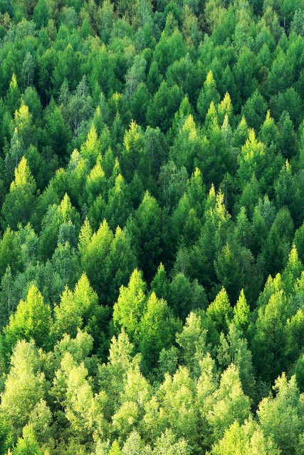 一杯清茶品日月半壶老酒品人生,一杯清茶的经典语录