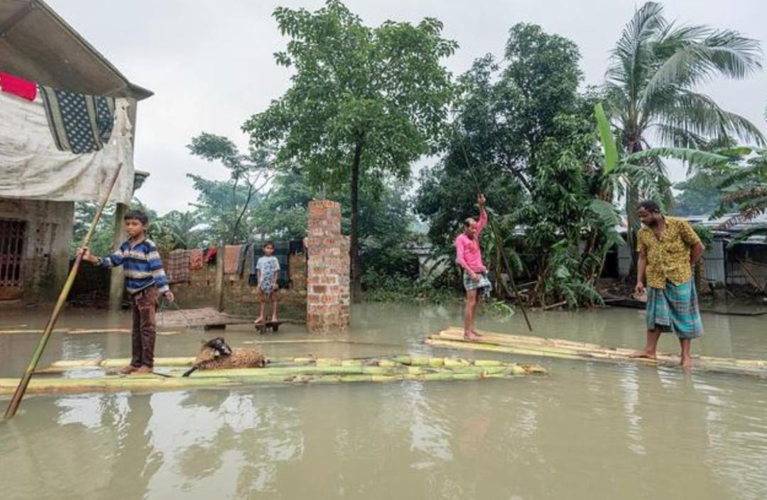 极端高温怎么解决啊,极端温度灾害主要有