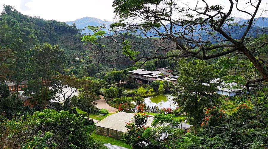 东南亚风情版纳攻略,西双版纳东南亚游