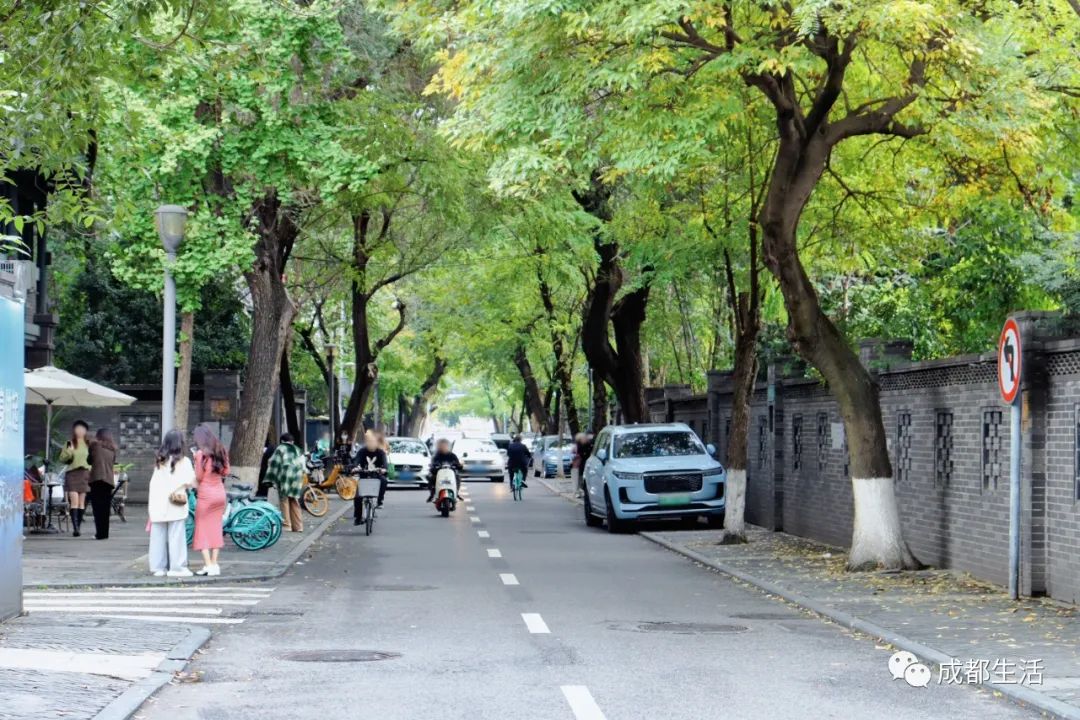 成都有特色的老街,成都最酷的老街