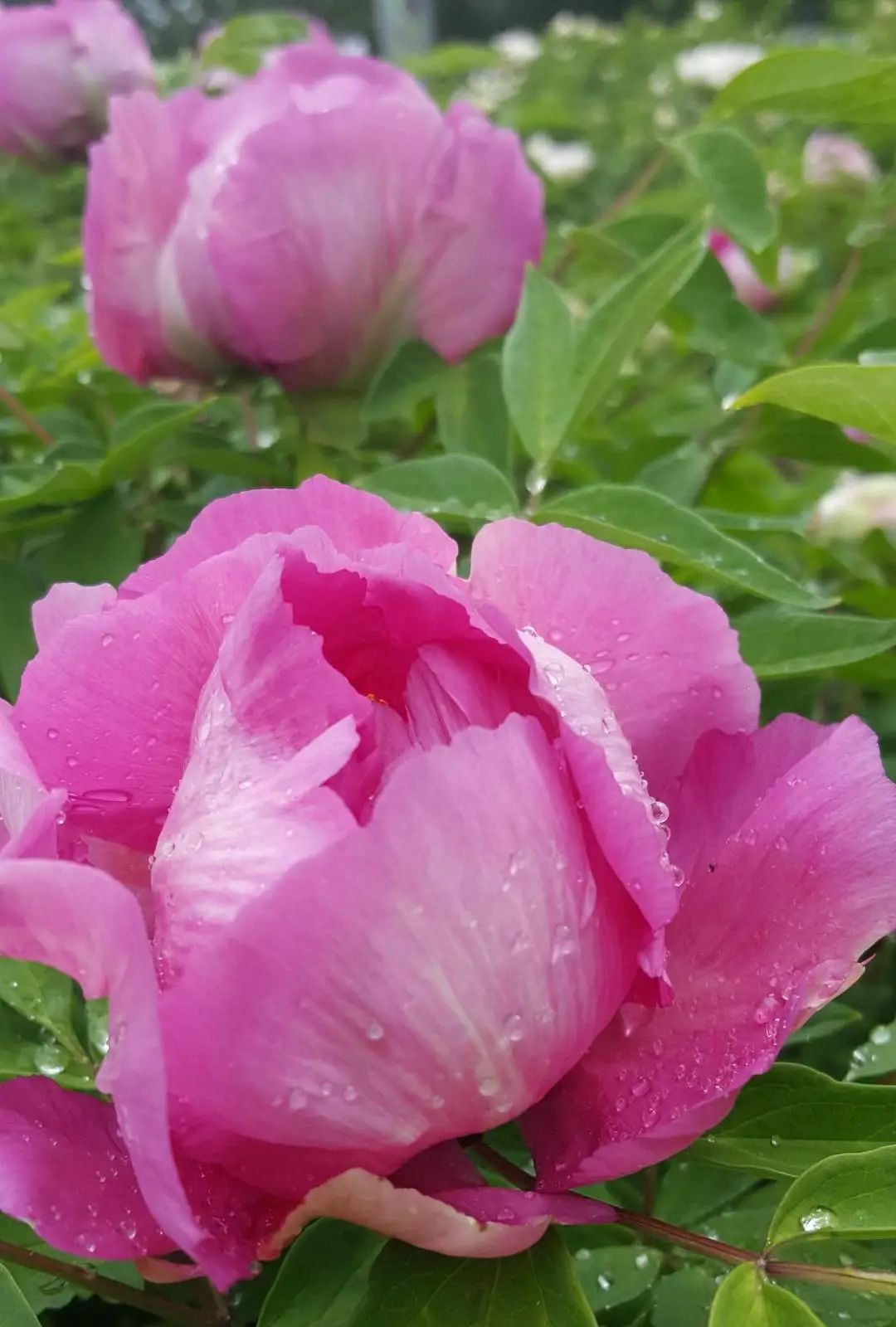 打开这份“小美好”指南，30个免费打卡地大盘点→