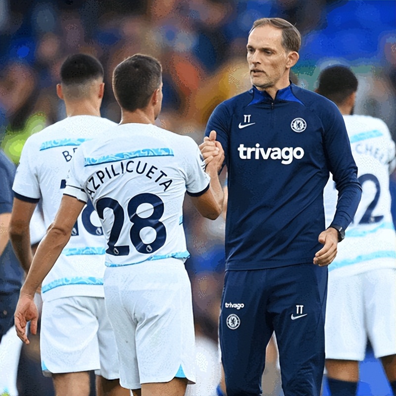 布莱顿海鸥伯恩利,布莱顿足球俱乐部bhafc