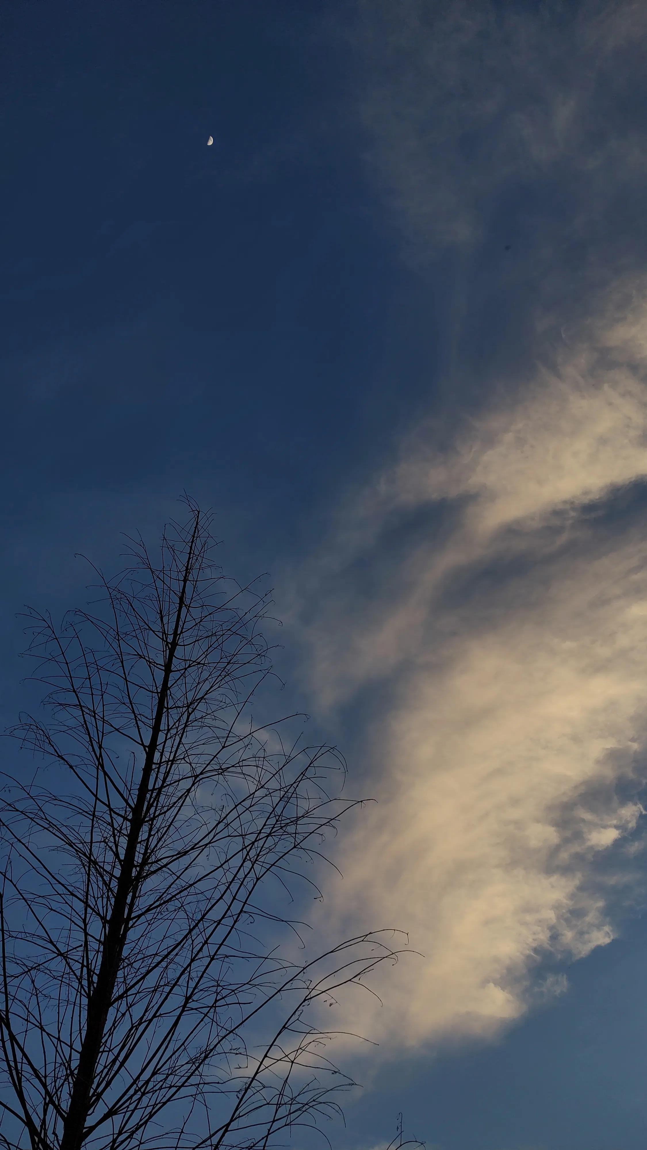 新都斑竹园音乐小镇民宿,斑竹园音乐小镇攻略