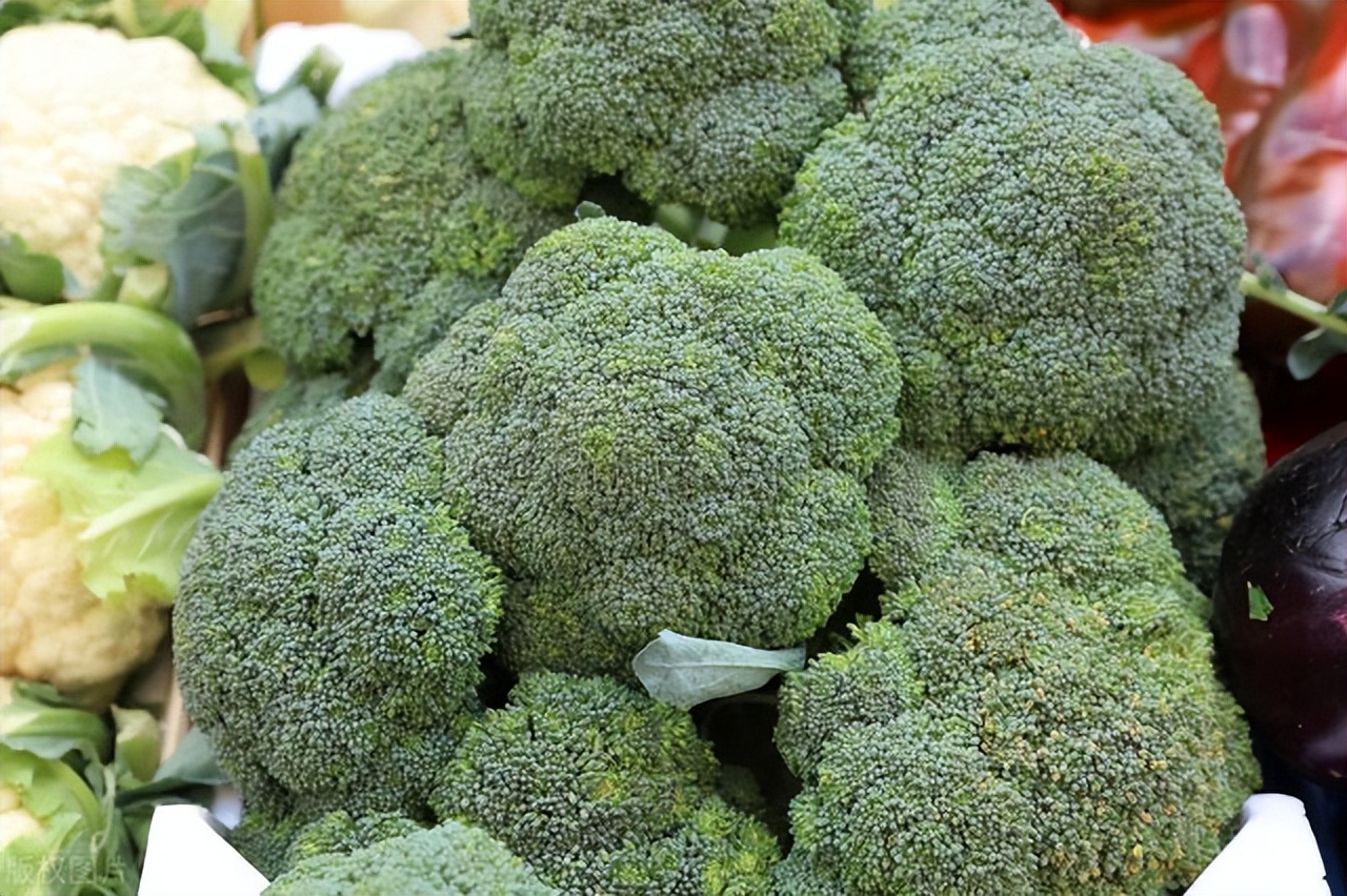 大棚西兰花种植,西兰花种植管理与病虫害防治