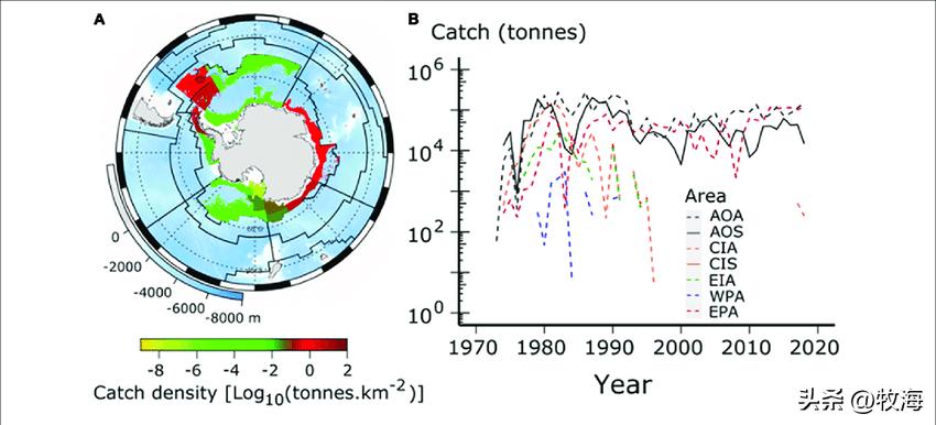 南极磷虾船最新消息,南极磷虾大爆发