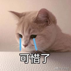 腾讯qq真的要关闭吗,腾讯qq是什么时候开始正式使用的