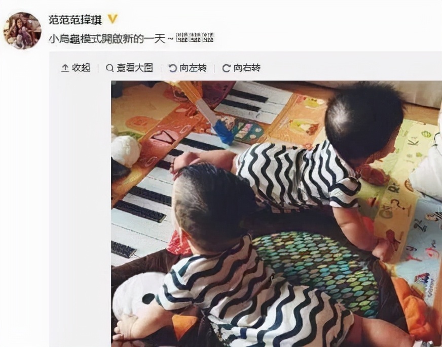 范玮琪经历了哪些事,范玮琪到底经历了什么