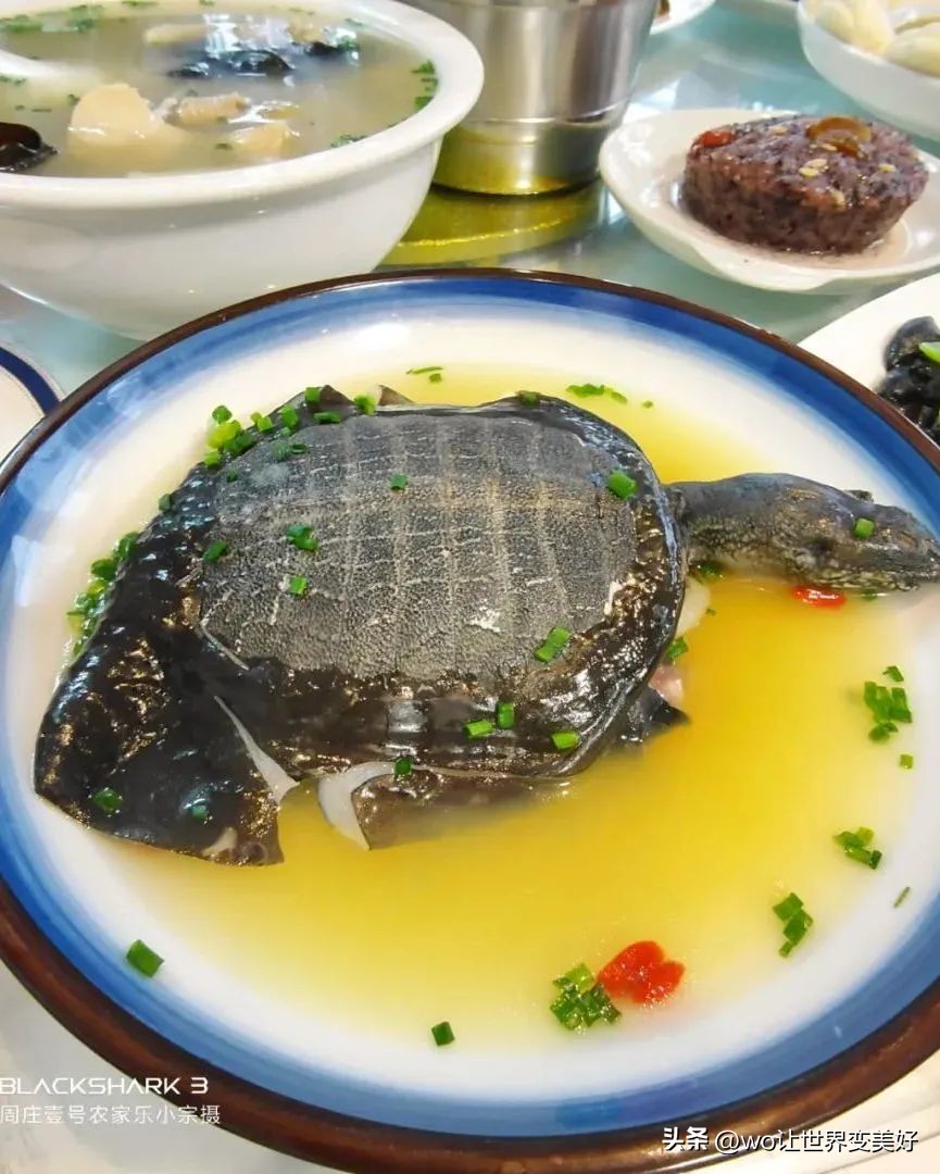 周庄画家村农家乐多少钱,周庄景区附近有农家乐