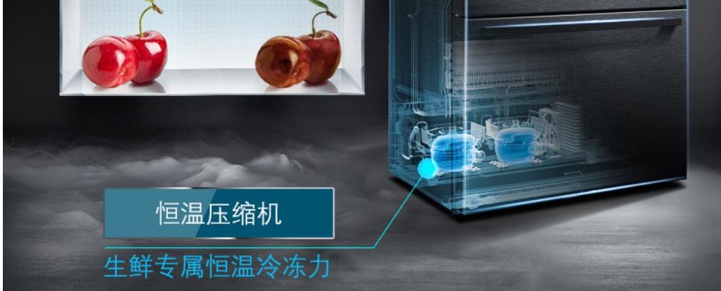 家用囤货有必要买个大冰箱吗,买个大冰箱结果没啥东西放