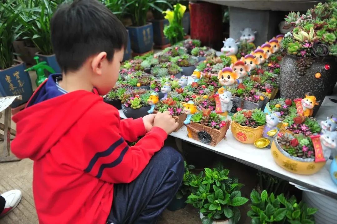 雨雪天气,来济南这些宝藏花市再合适不过了!快去把春天的浪漫抱回家吧!