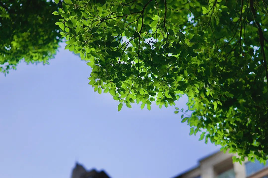 当古诗词遇到秋天有多美,当古诗词遇上莆田方言