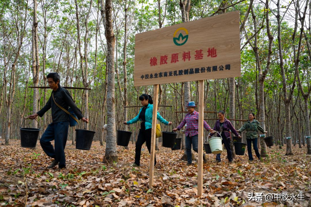 舒睡有什么用,舒睡经典款