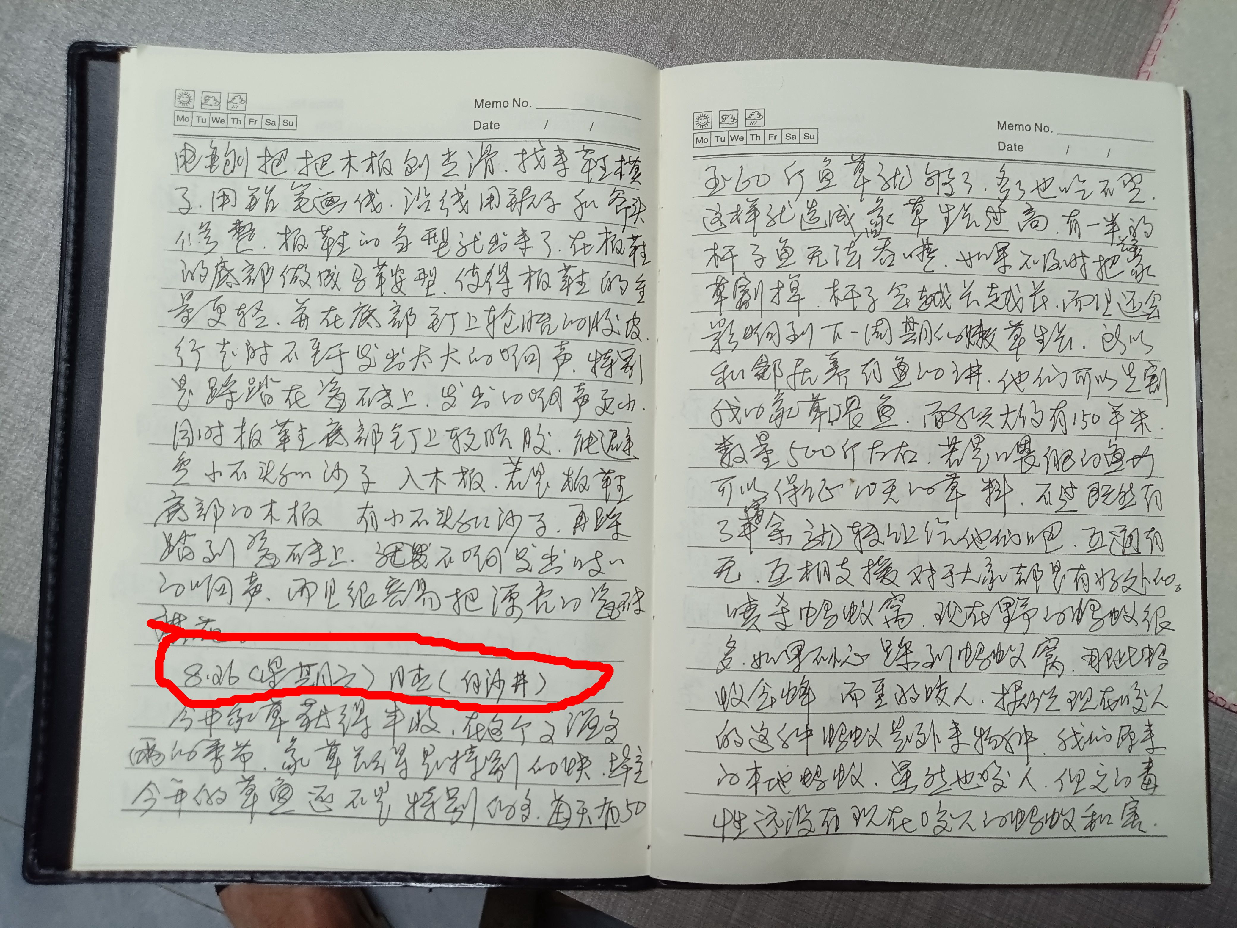 今天做了两件事重点喷杀蚂蚁窝